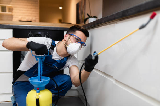Best Best Pest Control Companies  in Prospect Park, NJ