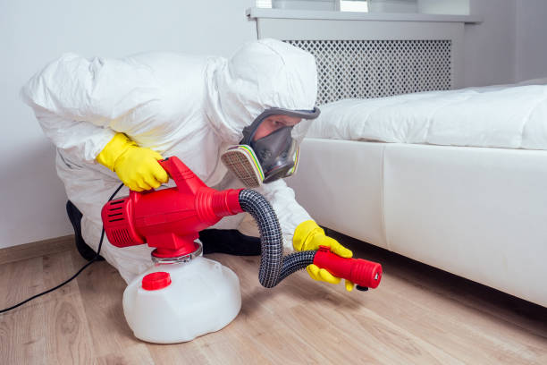 Best Rat Extermination Near Me  in Prospect Park, NJ