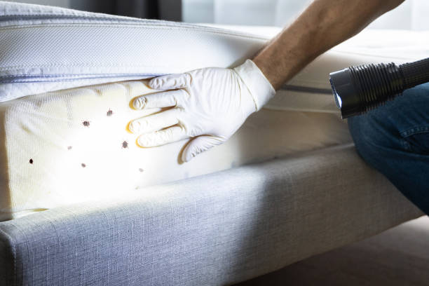 Best Exterminator Services  in Prospect Park, NJ