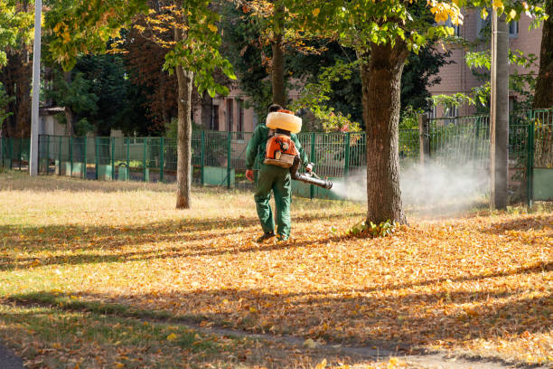 Best Affordable Pest Control Services  in Prospect Park, NJ