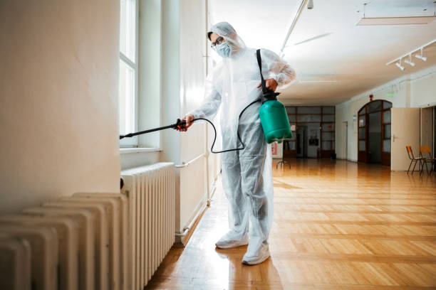 Best Flea Control Services  in Prospect Park, NJ