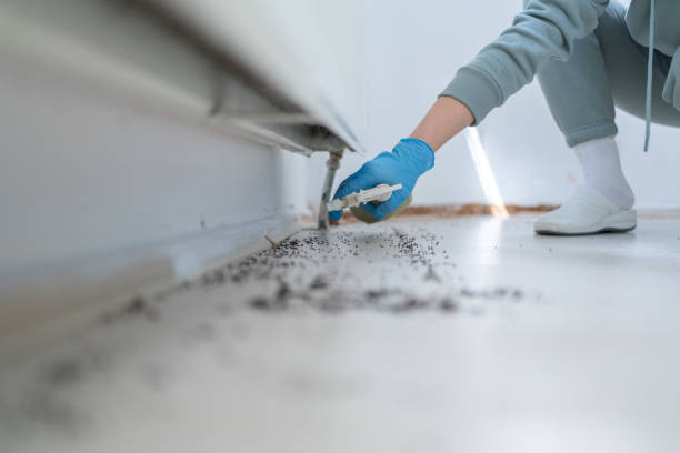 Best Ant Control Services  in Prospect Park, NJ